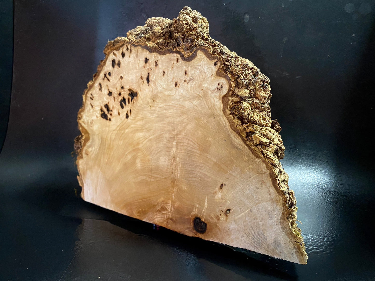 WALNUT BURL Wood Very Rare, Blank for woodworking, turning. France Stock. #W.157