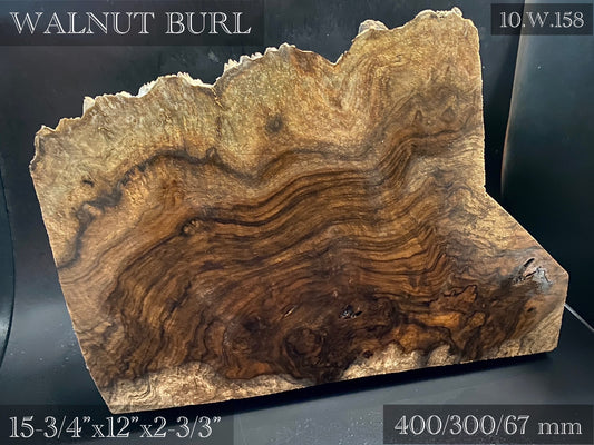 WALNUT BURL Wood Very Rare, Blank for woodworking, turning. France Stock. #W.158