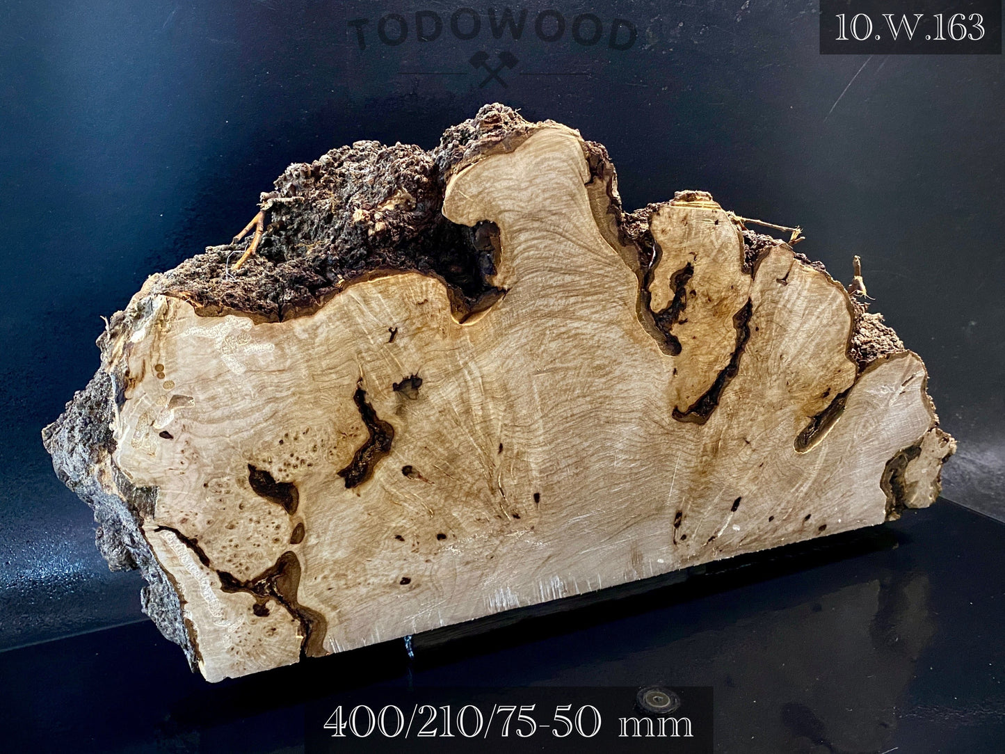 WALNUT BURL Wood Very Rare, Blank for woodworking, turning. France Stock. #W.163