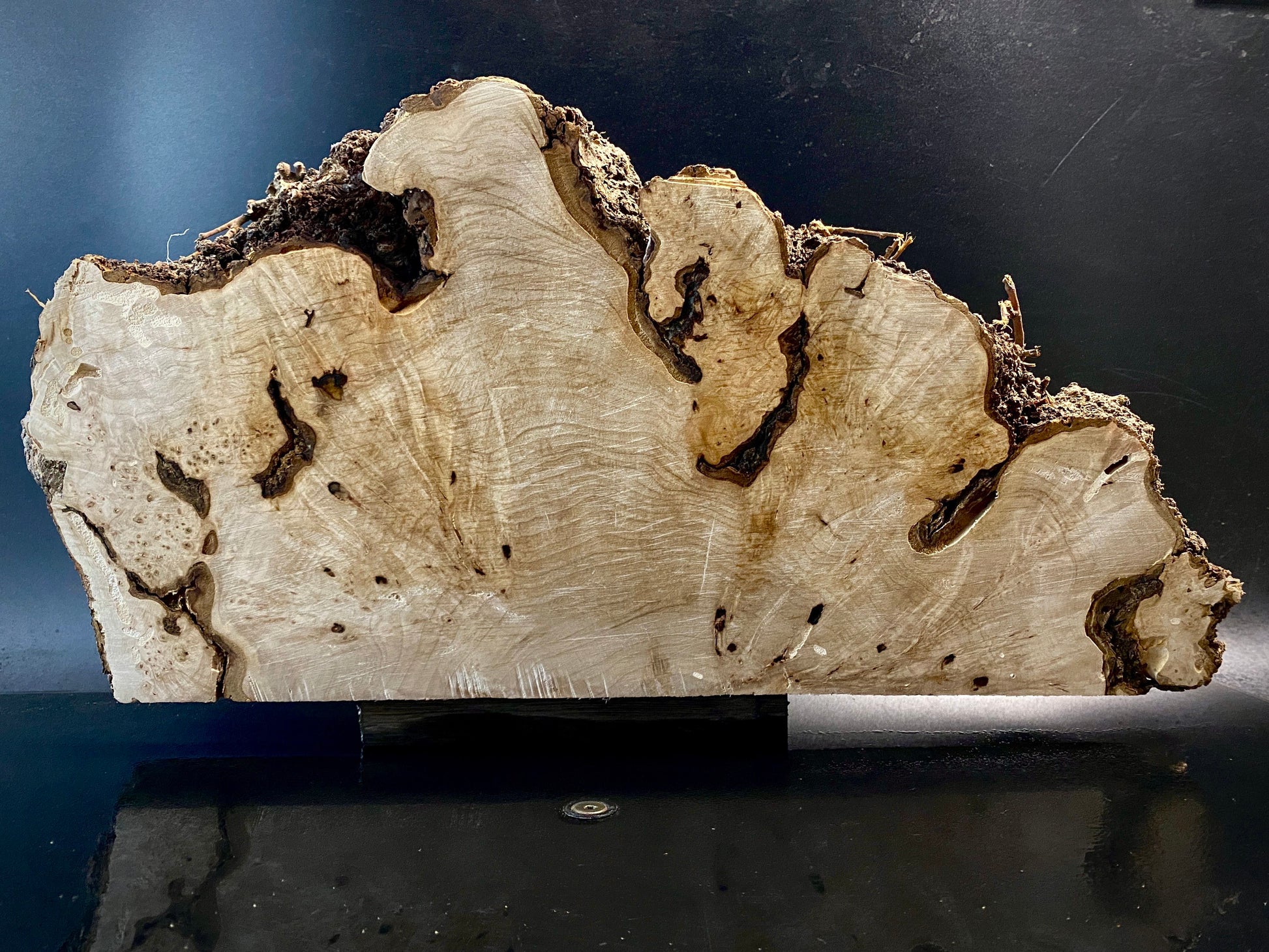 WALNUT BURL Wood Very Rare, Blank for woodworking, turning. France Stock. #W.163
