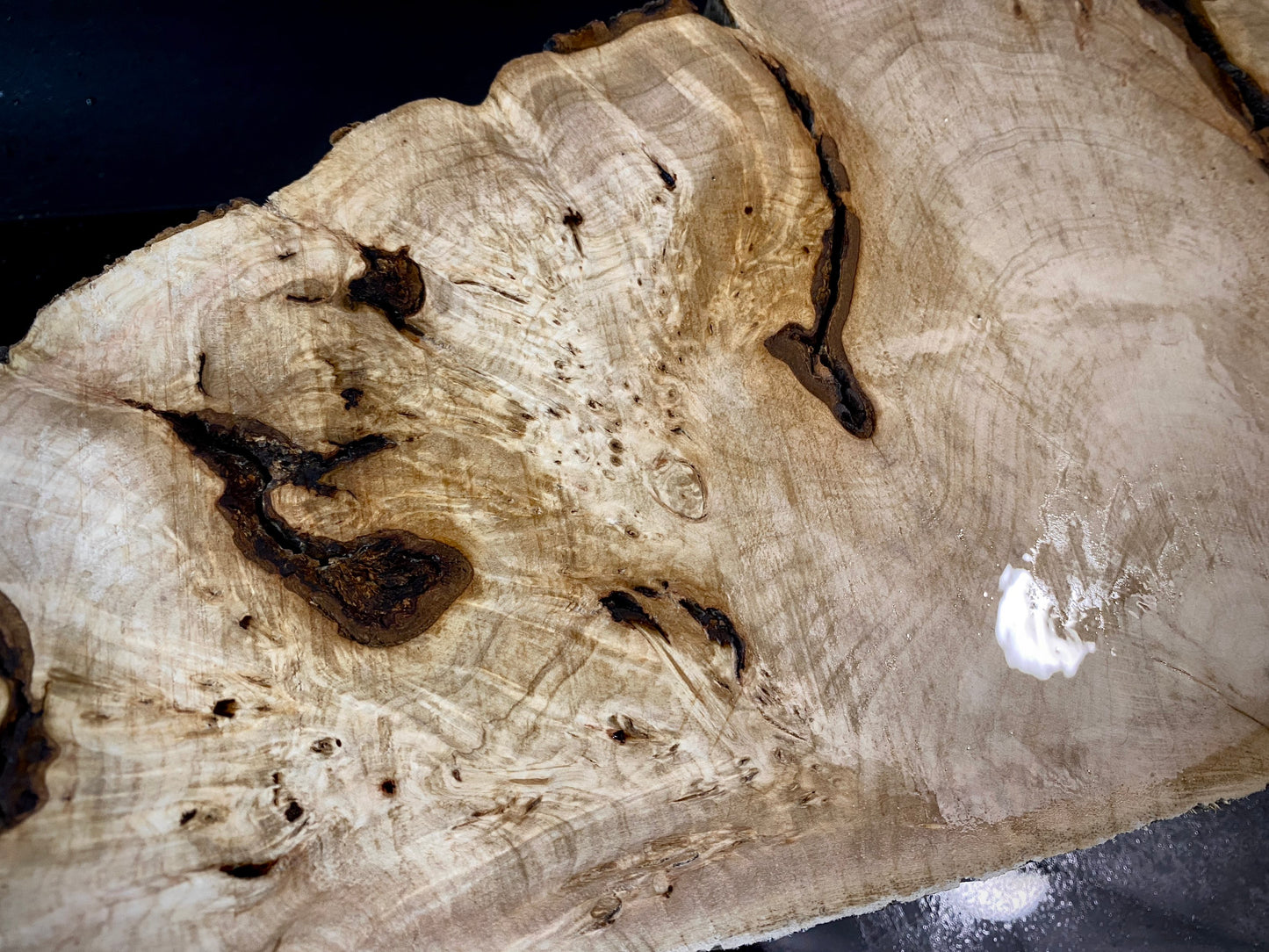 WALNUT WHITE BURL Wood Very Rare, Blank for woodworking, turning. France Stock. #W.164