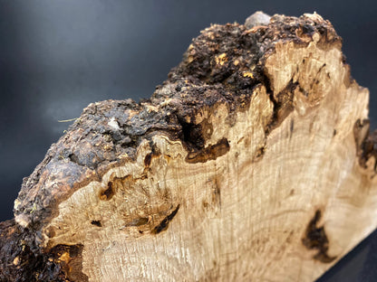 WALNUSS-BURL-Holz, sehr selten, Rohling für Holzbearbeitung, Drechseln. Frankreich-Aktie. #W.152
