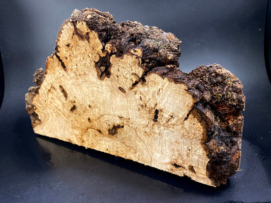 WALNUSS-BURL-Holz, sehr selten, Rohling für Holzbearbeitung, Drechseln. Frankreich-Aktie. #W.152